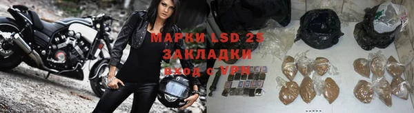 шишки Бородино
