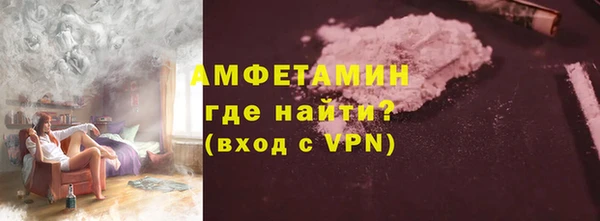 шишки Бородино