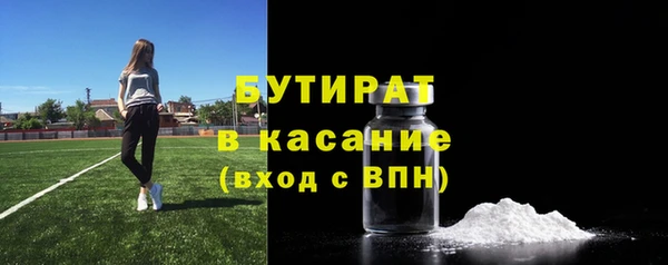 шишки Бородино