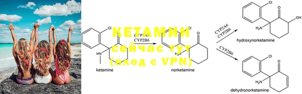 PSILOCYBIN Сосновка