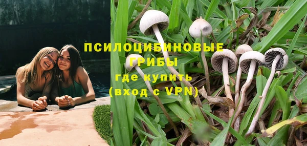 шишки Бородино