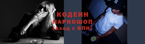 шишки Бородино