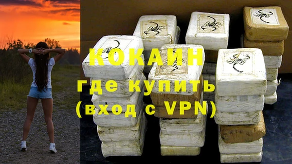 шишки Бородино
