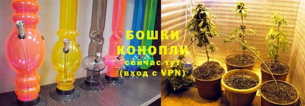 СК Снежногорск