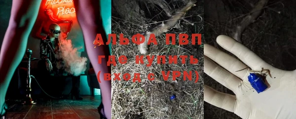 шишки Бородино