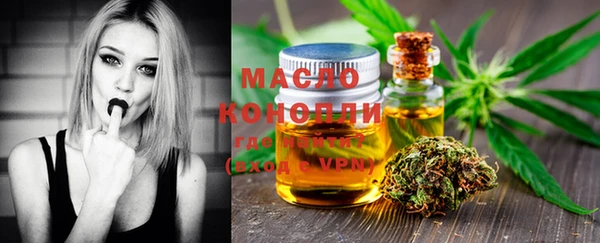 дмт Богородицк