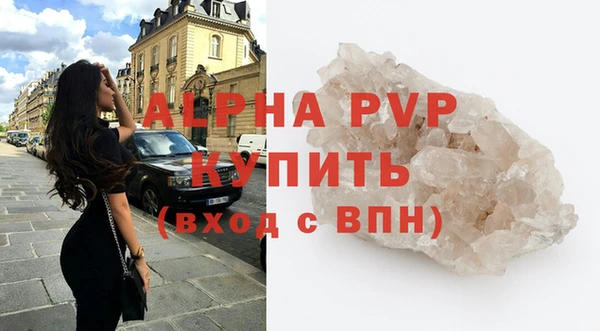 шишки Бородино