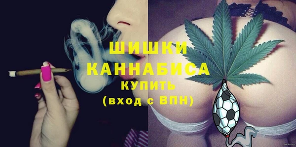 мдпв Бронницы